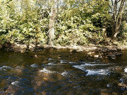 gallery-local-area-river